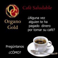 /album/ogganoderma-s-j/a561771-4718378555651-1348432255-n-jpg/